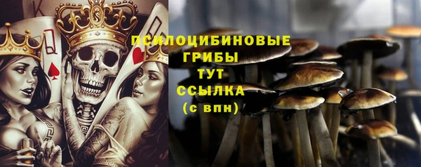 МДМА Алексеевка