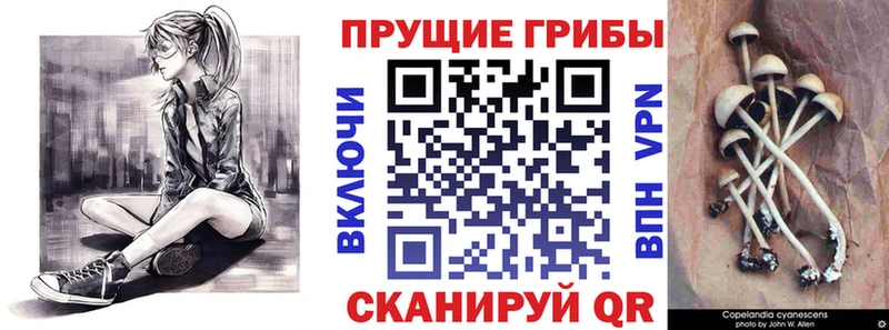 Псилоцибиновые грибы Magic Shrooms  МЕГА tor  Пыталово 